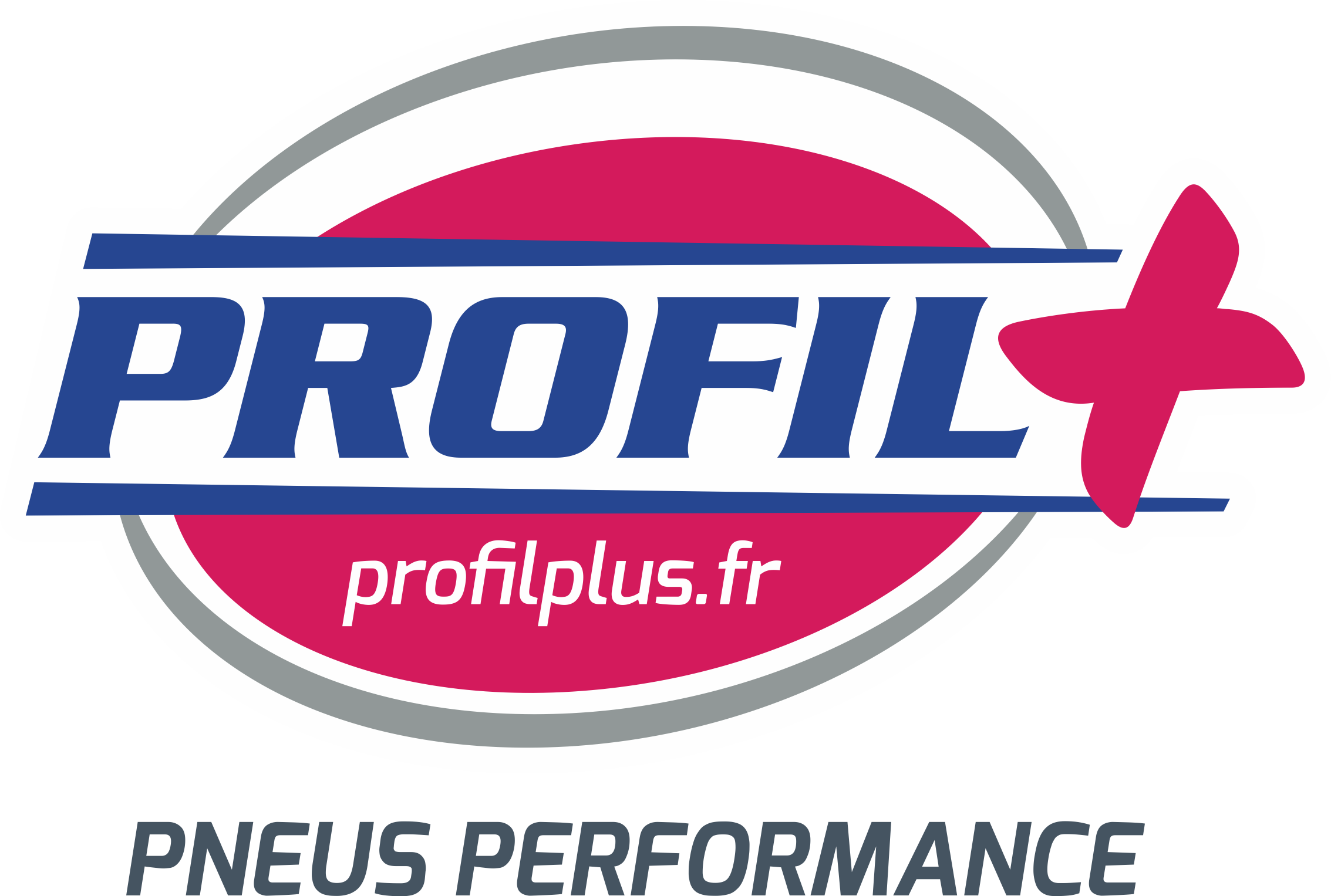 Logo GROUPE PNEUS PERFORMANCE