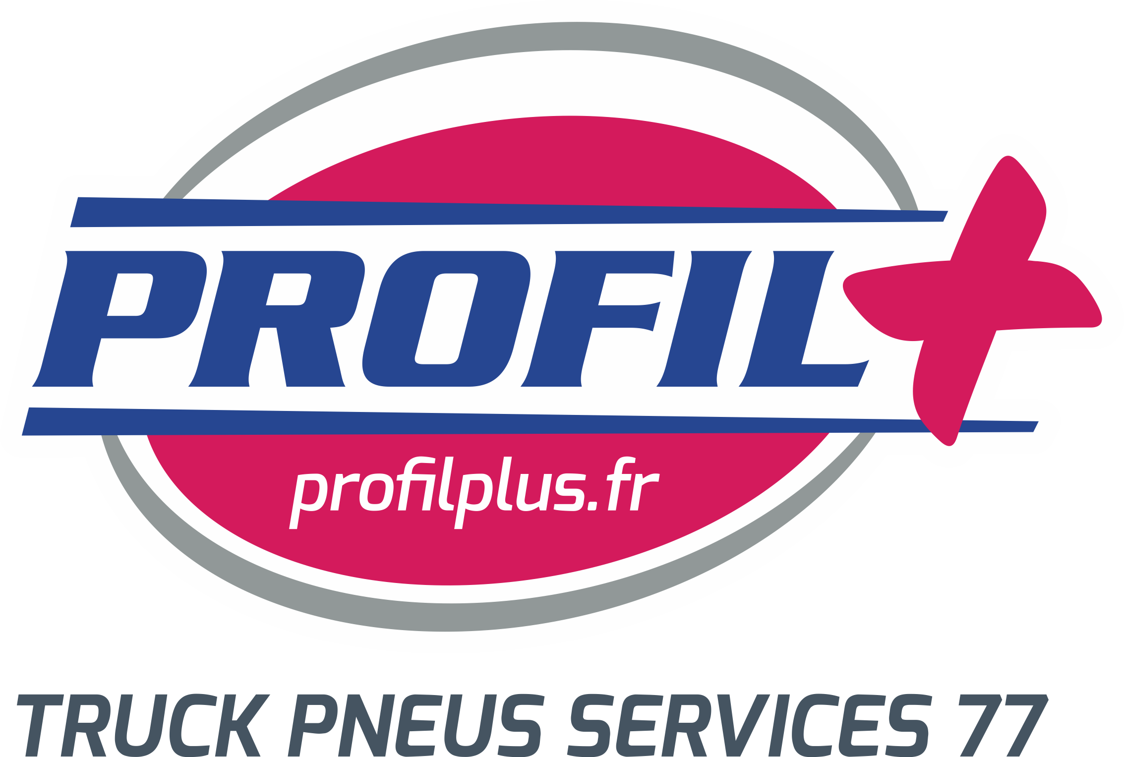 Logo GROUPE TRUCK PNEUS SERVICE 77