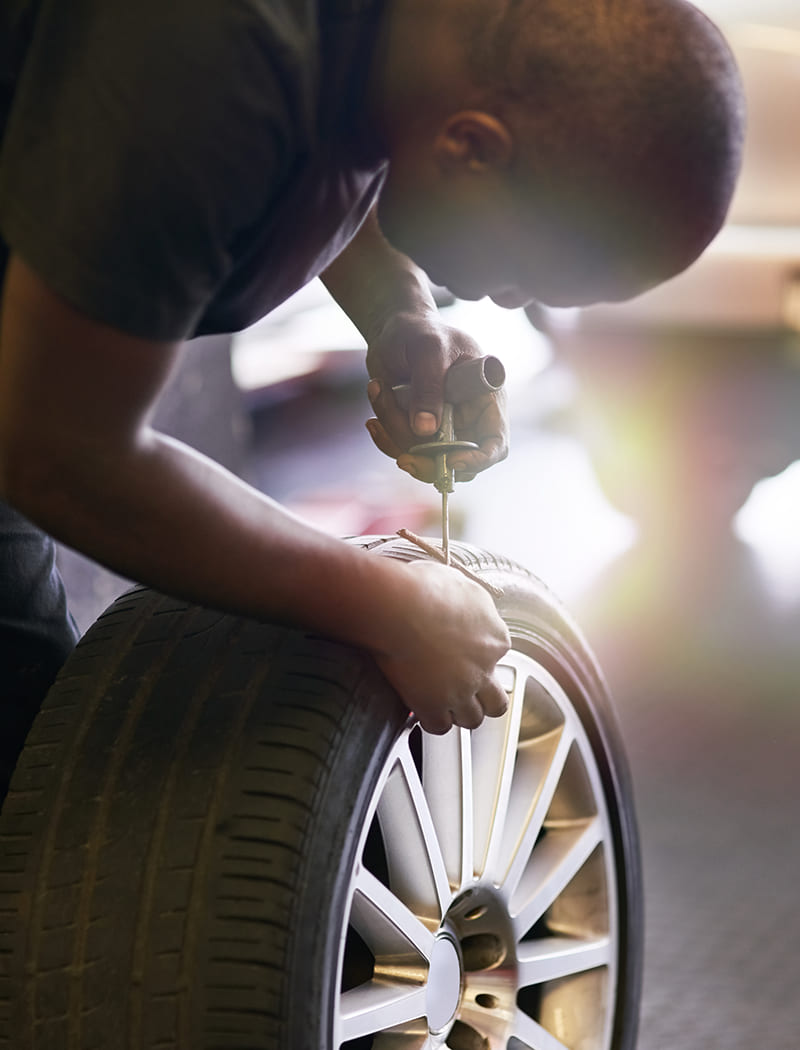 Vulcanisateur(trice)